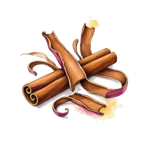 Cinnamon botanical line art